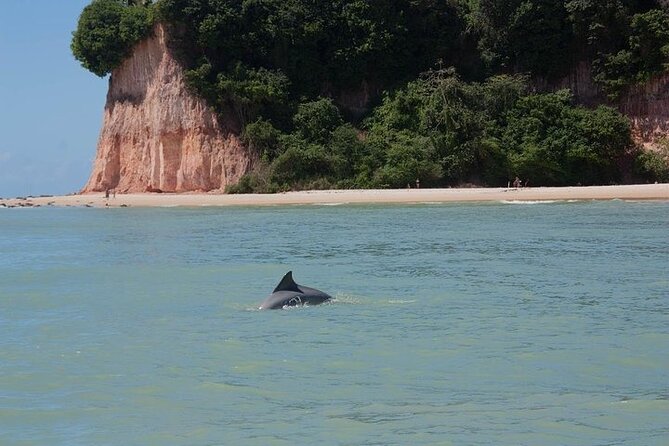 1-Day Tour to Pipa Beach-Rn – Leaving From Natal-Rn