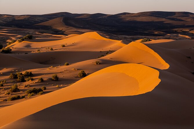 2 Days/1 Night Sahara Desert Trip: Fes – Merzouga – Marrakech