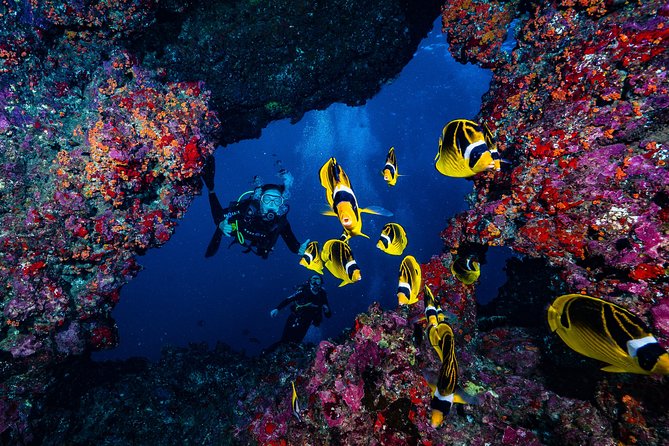 2 Tank Lanai Cathedral Scuba Dive (Boat)
