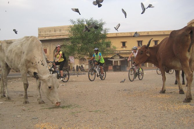 9 Best Bike Tours In Jaipur