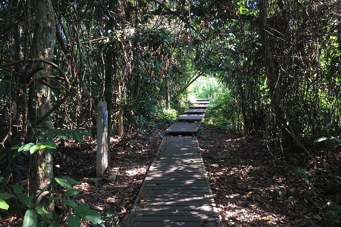 4-Day Jungle Experience in Taman Negara From Kuala Lumpur