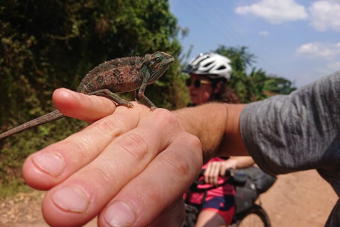 7 Hours Guided Cycling Tour to Sezibwa Waterfalls