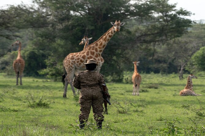 8 Days Uganda Primates Safari