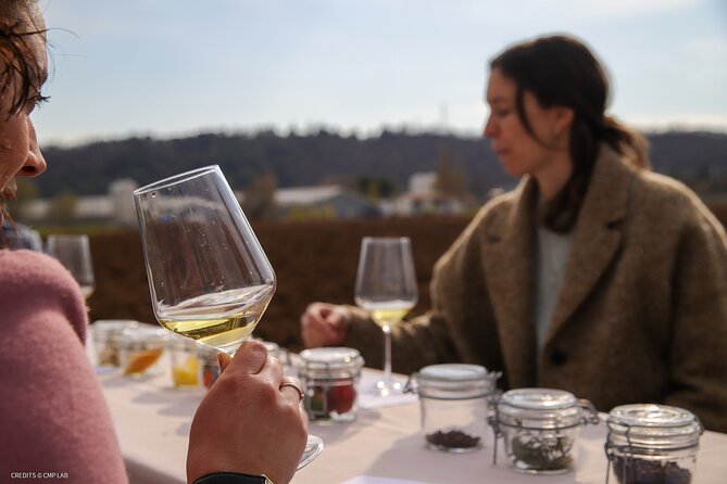 A Journey Into Wine’s Tastes and Aromas