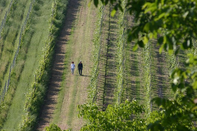 A Love and Wine Story in Parma Valley