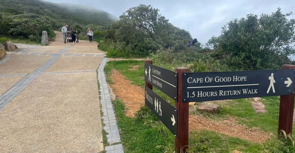 A Private Day Tour of Penguins, Cape Point & Table Mountain