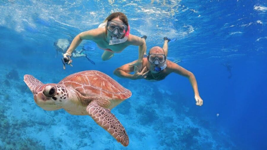 6 Unforgetable Snorkeling Experiences In Menjangan Island