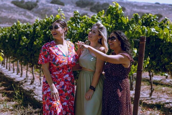 All-Inclusive Full-Day Wine Tasting Tour From Santa Ynez Valley