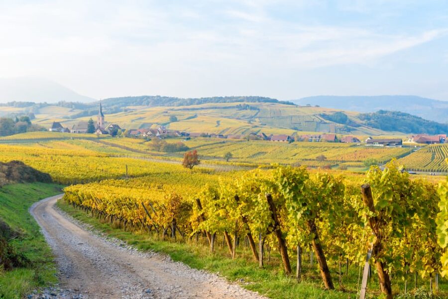 17 Best Wine Tours In Strasbourg