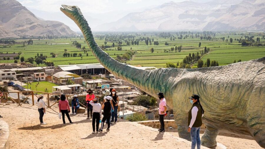 AREQUIPA: Dead Bull Petroglyphs and Dinosaur Footprints