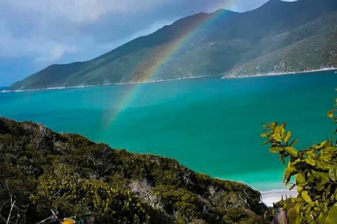 Boat Tour in Arraial Do Cabo