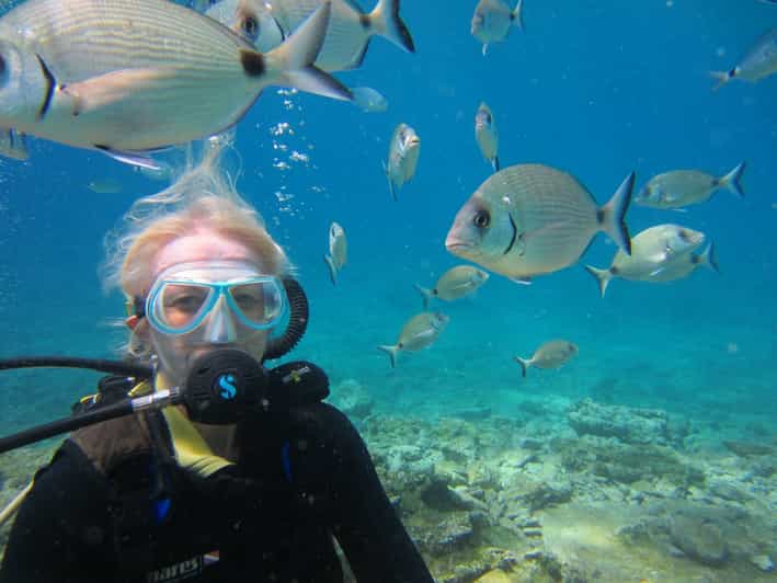 8 Best Scuba Diving Experiences In Bodrum