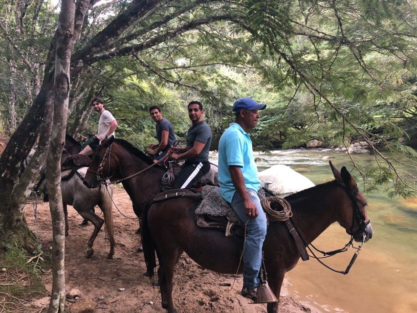 Bogota: Horseback Wilderness Ride