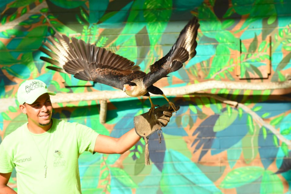 Cartagena: National Aviary of Colombia Entrance Tickets