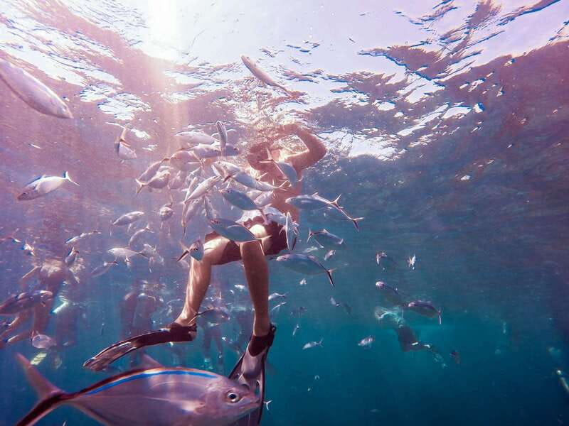 Catalina Island Full-Day Snorkeling + Lunch From Punta Cana