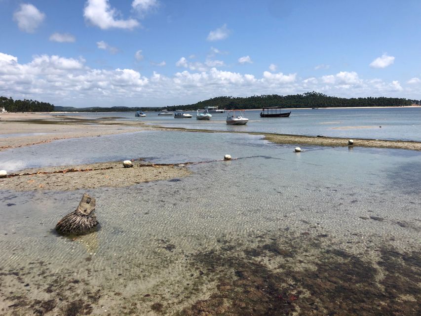 Catamaran Tour in Praia Dos Carneiros