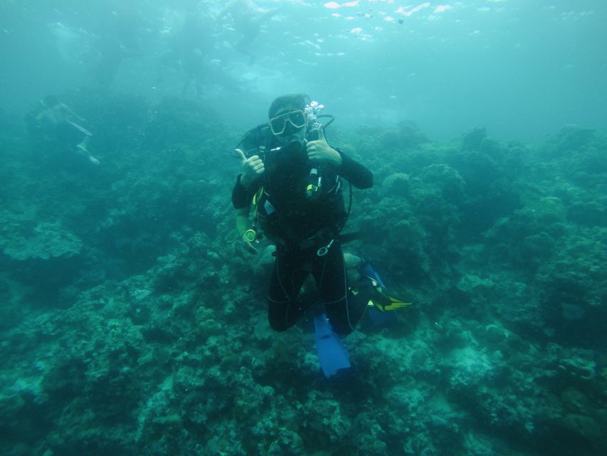6 Best Scuba Diving Experiences In Cebu