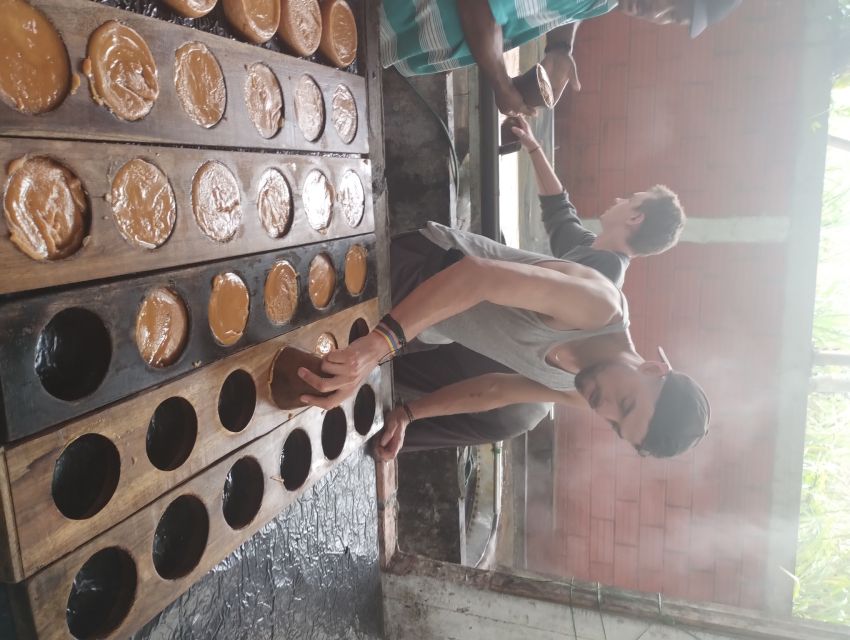 Coffee Region Colombia: Authentic Coffee Experiences