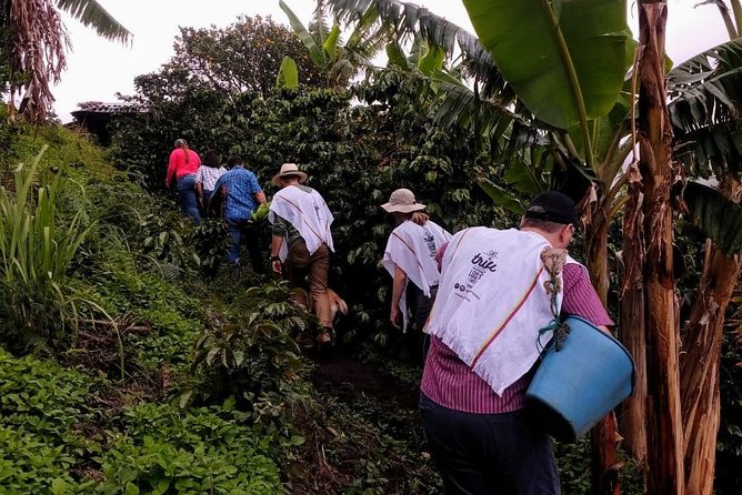 Coffee Tour, a Coffee Between Mountains – Medellín