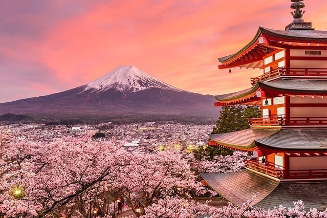 Customizable Private Tour in Mt. Fuji With Private Driver
