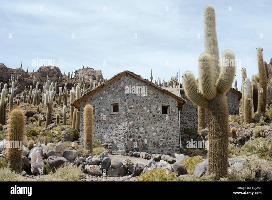 Day Trip to the Uyuni Salt Flats