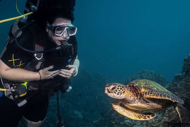 Discover Scuba Diving Class - Lahaina (Shore)