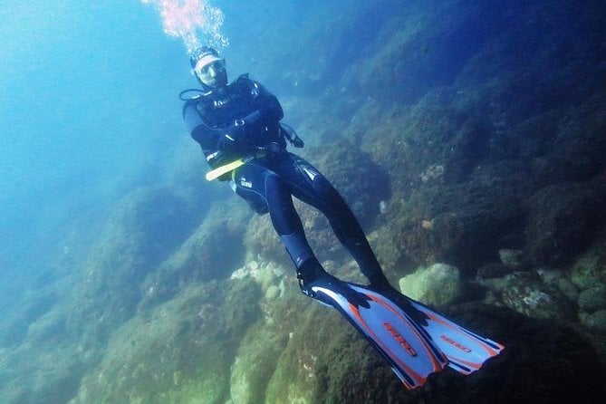 19 Best Scuba Diving Experiences In Sicily