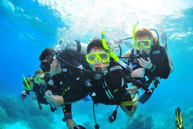 Diving (For Beginner Diver) - Pattaya