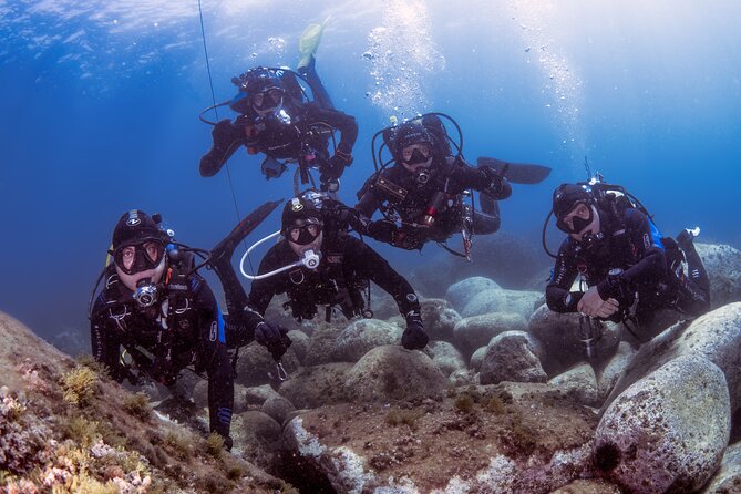 Diving Guided by the Diving Center (With Full Equipment)