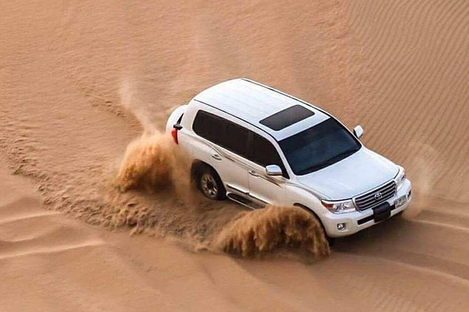25 Best Safari Tours In Doha