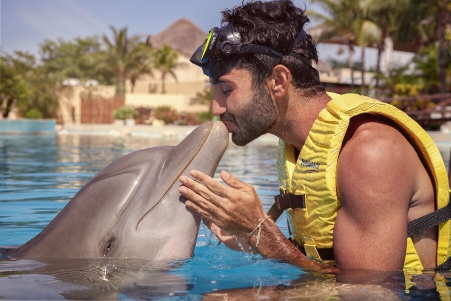 10 Best Dolphin Watching Tours In Quintana Roo