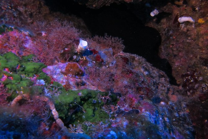 Etna & Diving Jeep Tour