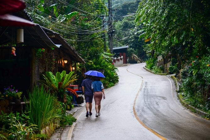 Explore Mae Kampong Village From Chiang Mai City