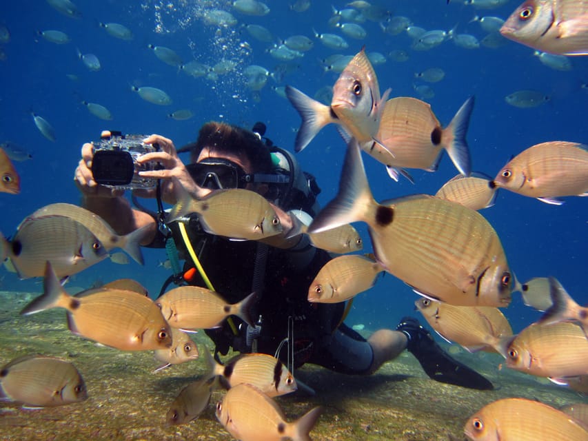 7 Best Scuba Diving Experiences In Fethiye