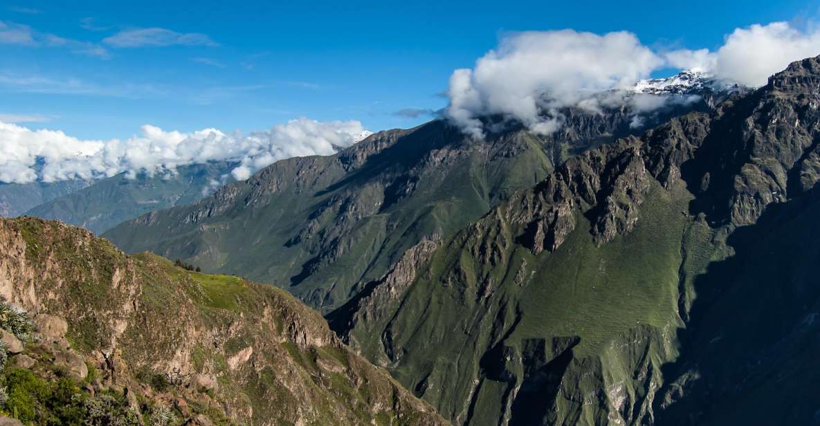 From Arequipa: Colca Canyon & La Calera Thermal Waters