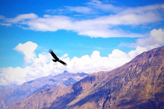 From Arequipa to Colca Canyon and to Puno in 1d