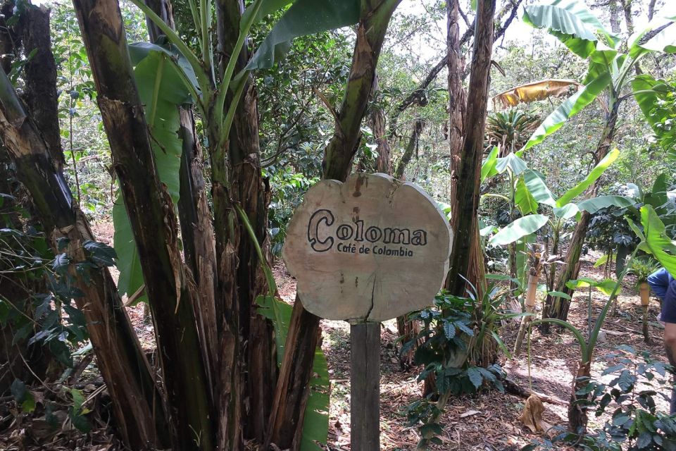From Bogotá: the Coloma Coffee Farm Day Trip With Lunch