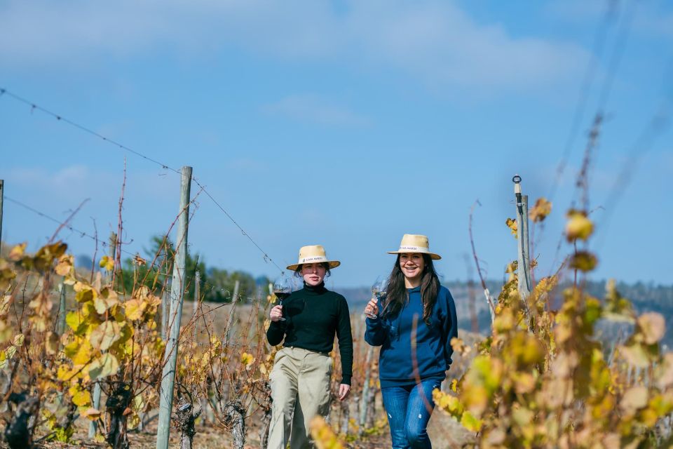 From Chile: Casa Marins Wine Tour D.O Lo Abarca