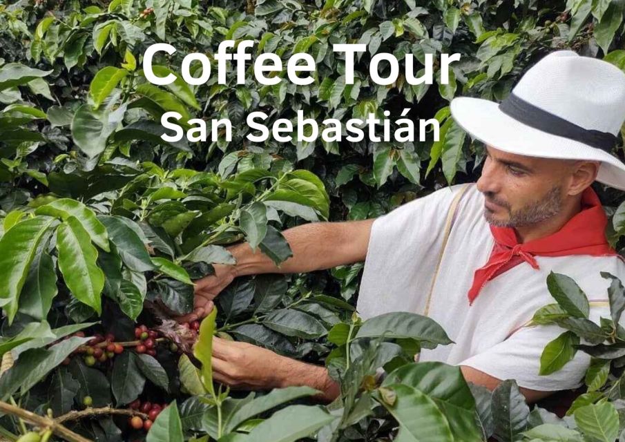 From Farm to Cup: The Ultimate Coffee Tour