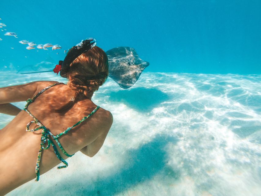 Makadi Bay’s 7 Best Snorkeling Experiences