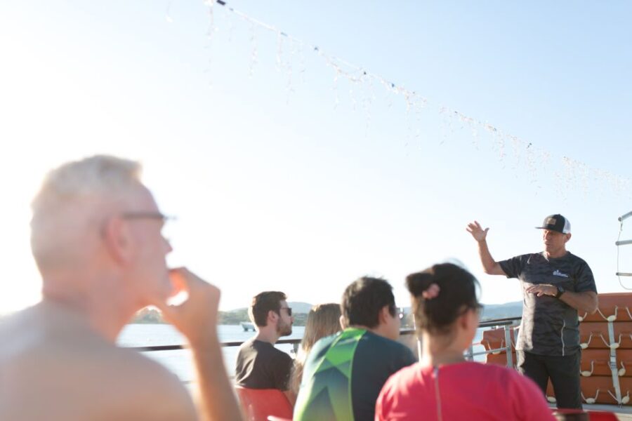 7 Best Dolphin Watching Tours In Tauranga