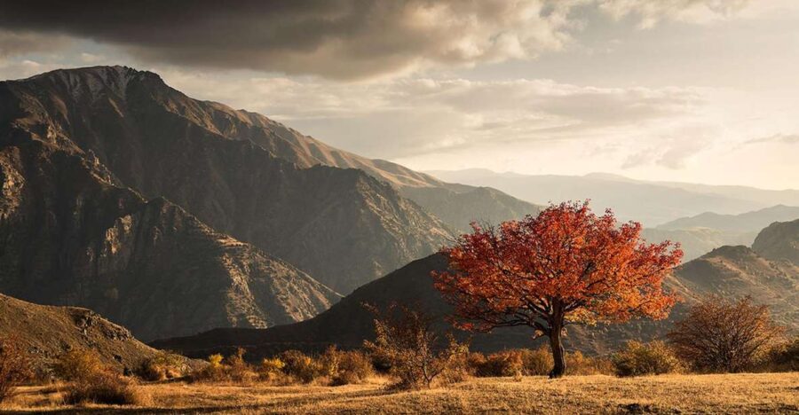 From Yerevan: Trekking and Wine Tasting Tour