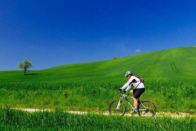 Full-Day Chianti E- Bike Tour