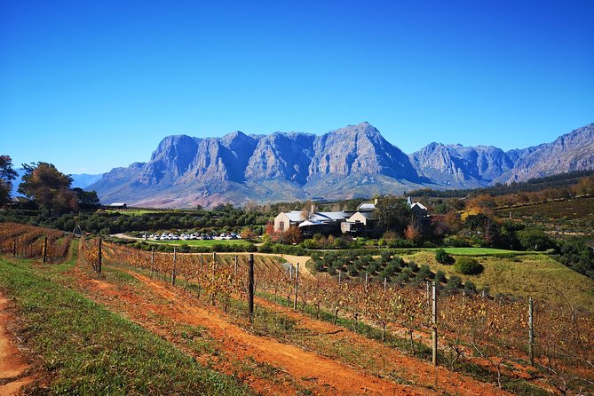 Full-Day Chocolate, Cheese, Olive and Wine Tour From Stellenbosch
