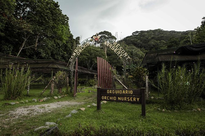 Gamboa Aerial Tram and Sloth Sanctuary