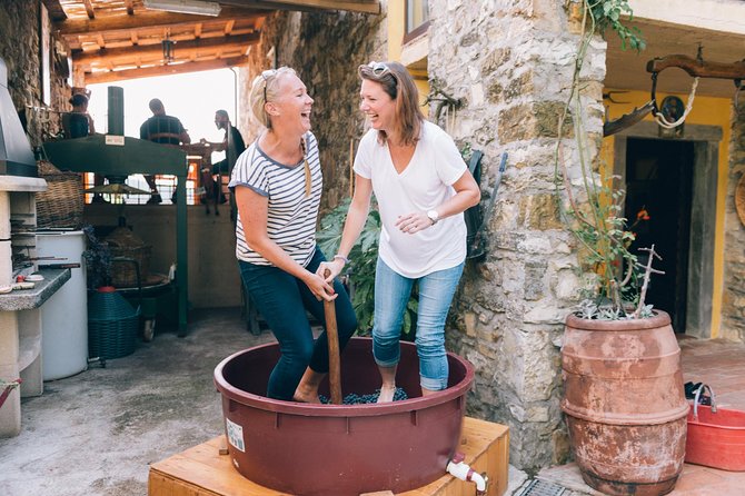 Grape Stomping in Chianti Tuscan Farmhouse From Siena