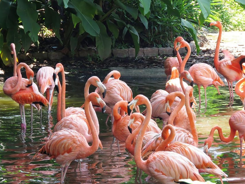 25 Best Tours in Foz Do Iguacu