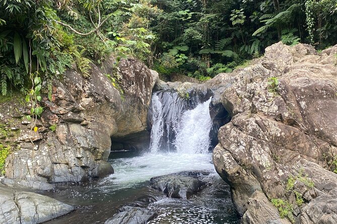 Half-Day El Yunque and Waterslides Adventure From Fajardo