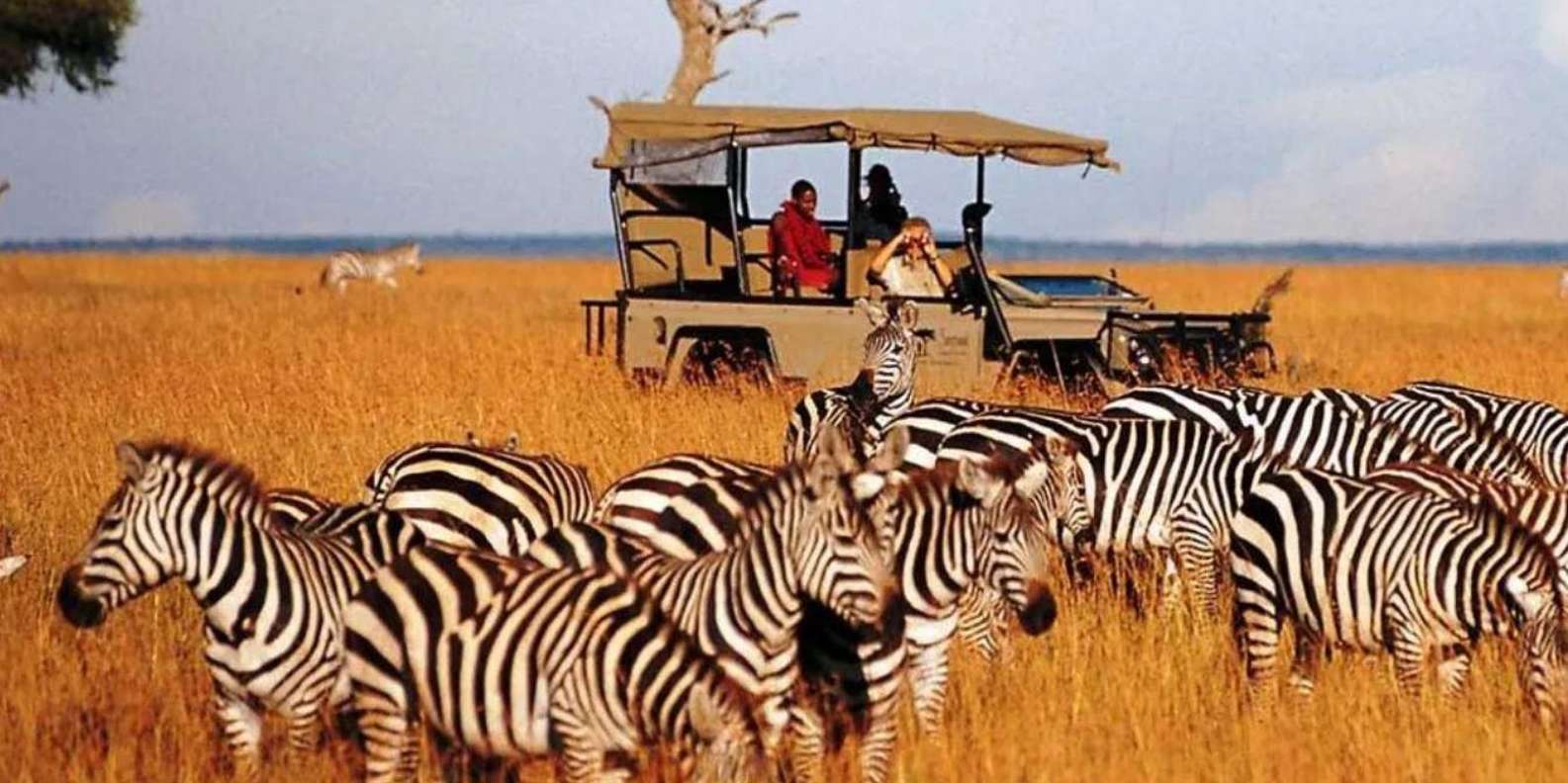 Half Day Tala Game Reserve & Natal Lion Park From Durban