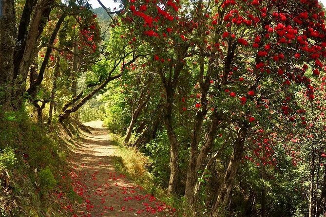12 Best Hiking And Trekking Tours In Rishikesh